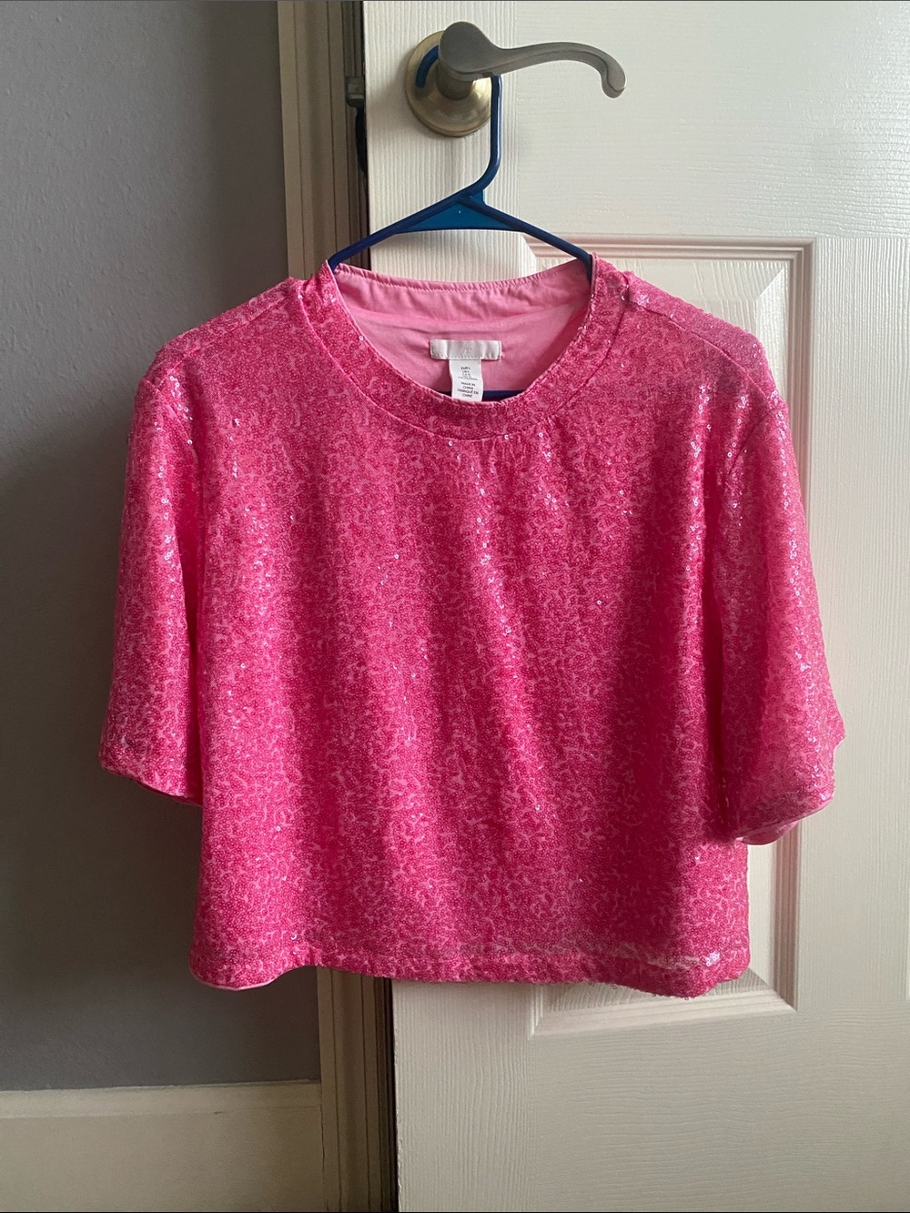 H&M Hot Pink Sequin Crop Top